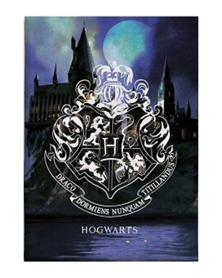 Coperta in Pile Harry Potter Hogwarts Night