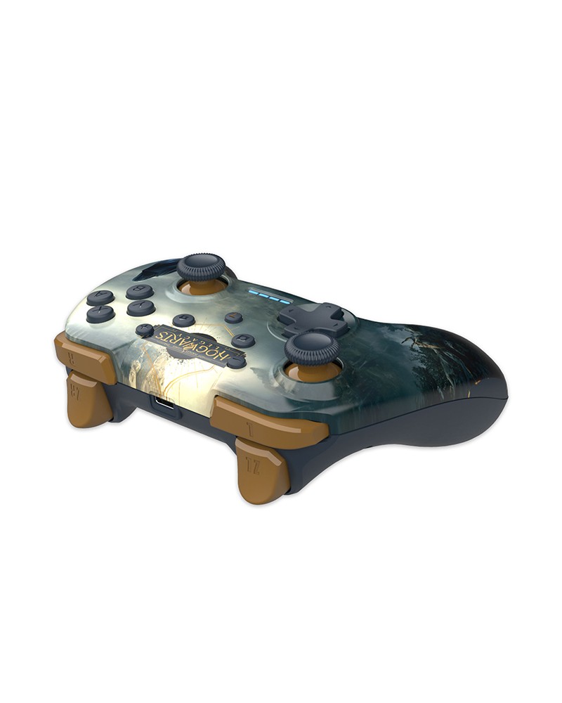 Freaks Switch Controller Wireless Hogwarts Legacy Paesaggio