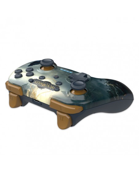 Freaks Switch Controller Wireless Hogwarts Legacy Paesaggio